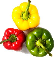 Capsicum