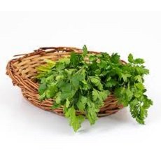 Coriander