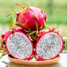 Dragon Fruit
