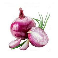 Onion
